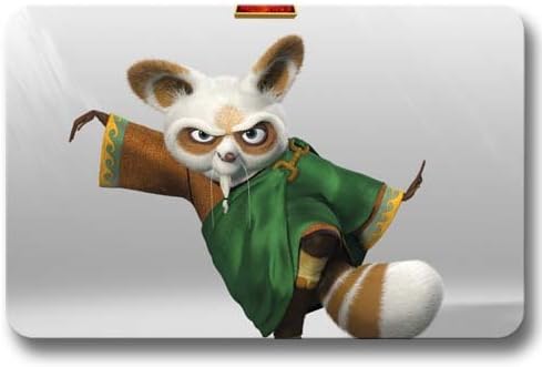 Floor Door Non Skid Kung Fu Panda 2 Stylish Doormats Cover Door Mat 16x24Inch / 40x60cm