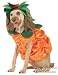 Pet Pumpkin Dog Costume For Medium Dogs