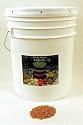 Organic Spelt- 35 Lbs- Grain Seeds: Flour, Bread, Baking, Cooking, Food Storage, Sprouting, Spelt Grass