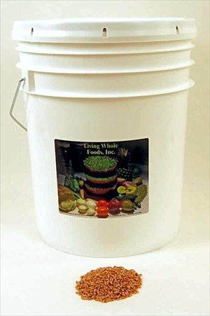Organic Spelt - 35 Lbs - Spelt Grain Seeds - For Flour, Bread, Baking, Cooking, Food... by Handy Pantry