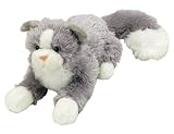 Plush Grey Persian Cat 14