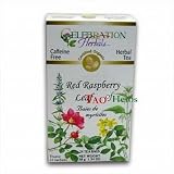 Red Raspberry Leaf - Organic - 24 tea bags