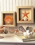 Peel & Stick Wallies Seashore Seashell Designs