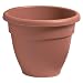 Akro-Mils CNA10000E35 Caribbean Pot, Clay, 10-Inch
