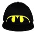 Search : Batman DC Comics Super Hero Logo Flat Bill Cap Hat