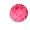 Indian Pink