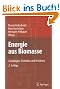 Energie aus Biomasse: Grundlagen, Techniken und Verfahren
