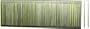 Magnate L13 18 Gauge 1/4" Crown Staple - 1/2" Length; 5,000 Count/Pkg