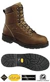 Review   / Danner Mens 8 Inch GORE-TEX Leather Work Boots #16100