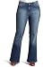 Calvin Klein Jeans Women's Plus-Size Flare Jean