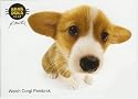Hanadeka Dog - Mini Puzzle - Welsh Corgi (Sitting)