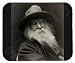 Walt Whitman Mouse Pad