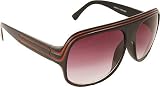 Dazed N Confused Eyewear Episode Sunglasses