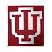 Indiana University IU Hoosiers Fleece Blanket Throw