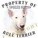 terrier49 - Bull Terrier WHITE Mousepad Dog Mouse Pad Property
