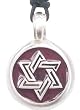 Purple Jewish Star Of David Pewter Pendant Necklace