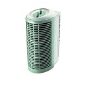 Mini Air Purifier