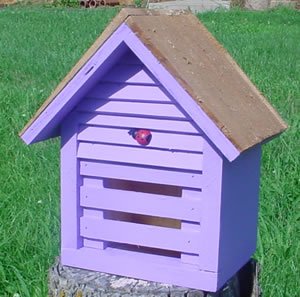 Ladybug House Plans: How To Build A Ladybug House