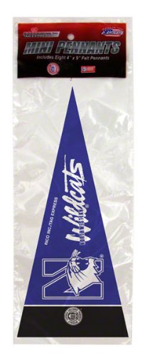 Northwestern Wildcats Mini Pennant Set: 8-Pack