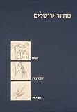 The Koren Classic Three Festivals Machzor: A Hebrew Prayerbook for Pesach, Shavuot and Sukkot, Ashkenaz (Hebrew Edition)