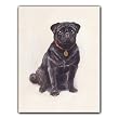 Black Pug - Gift Enclosure Cards (set of 12)