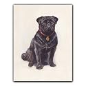 Black Pug - Gift Enclosure Cards (set of 12)