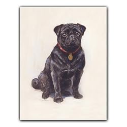 Black Pug - Gift Enclosure Cards (set of 12)