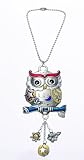 Owl Color Art Car Charm