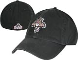 Florida Panthers Franchise Hat