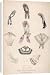 Canvas Prints of Lace Caps Etc C.1863 from Mary Evans
