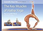 The Key Muscles of Hatha Yoga