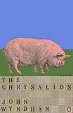 The chrysalids