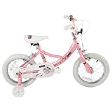 12 Pink Angels Bike