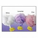 Rucci White Laced Net Sponge For Kids (Pack of 2)