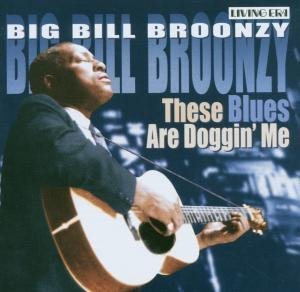 CD-Charts  Search : These Blues Are Doggin' Me