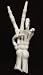 Skeleton Boney Hand