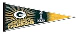 NFL Green Bay Packers 2010 Super Bowl XLV Champion 12x30 Pennant