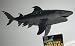 Tiger Shark - Stretchable Life-Like Replica toy figure (approx 11" nose to tail)_s-2