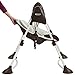Graco Swing By Me 2-in-1 Portable Swing, Go Green