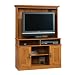 Sauder Entertainment Television Center