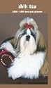 Shih Tzu 2008 - 2009 Pocket Planner Calendar (German, French, Spanish and English Edition)