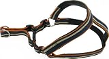 Kakadu Pet Angus Padded Step In Dog Harness, 1 1/2" x 32"-42", Blue