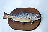 Fish Body/Deer Skull Wall Panel Plaque-Model-1