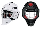Itech Envy 7 Goalie Mask [SENIOR]