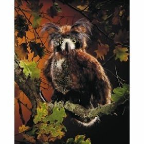 Childrens Toyshop  Toys : Great Horned Owl Puppet