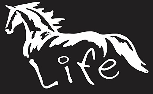 Horse Life 6