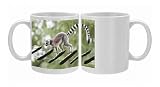 Ring-tailed Lemur - animal walking along tree ladder Photo Mugs