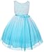 Tulle Rosette Spring Easter Flower Girl Dress in Ombre Fuchsia Aqua Purple Red 2-14