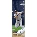 New York Yankees Jeter MLB Door Art Poster Print 21x62