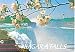 Niagara Falls Ontario Canada Postcard